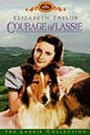 Courage Of Lassie